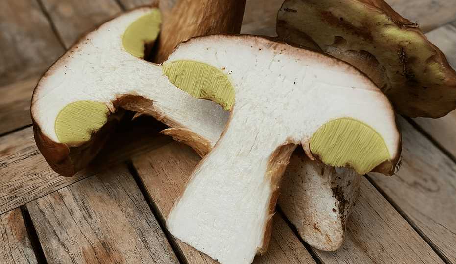 Piselli e Funghi