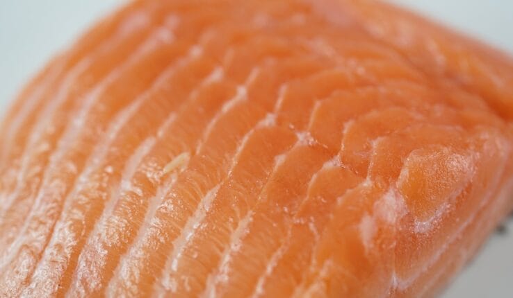 Salmone Riso e Funghi in Crosta